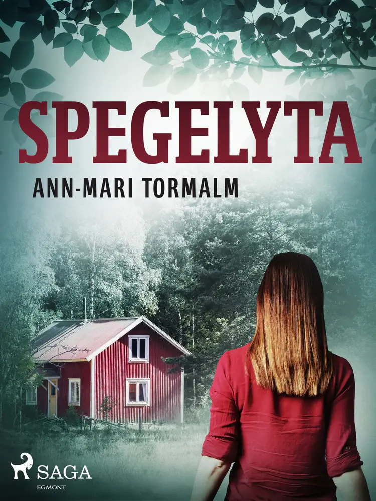 Spegelyta af Ann-Mari Tormalm