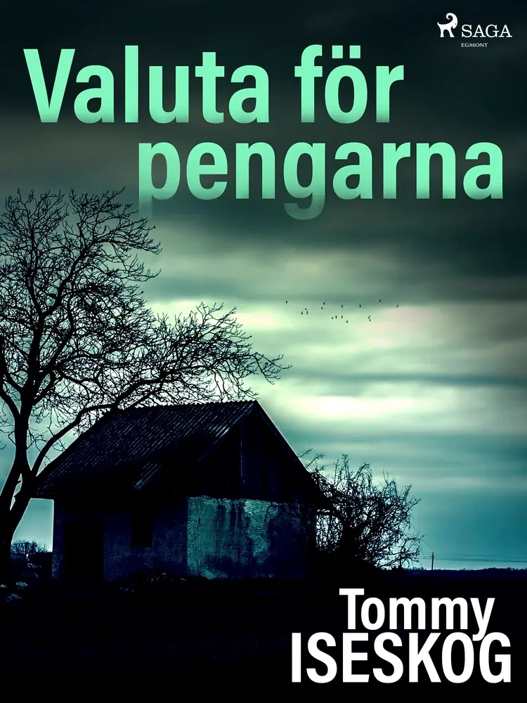 Valuta för pengarna af Tommy Iseskog
