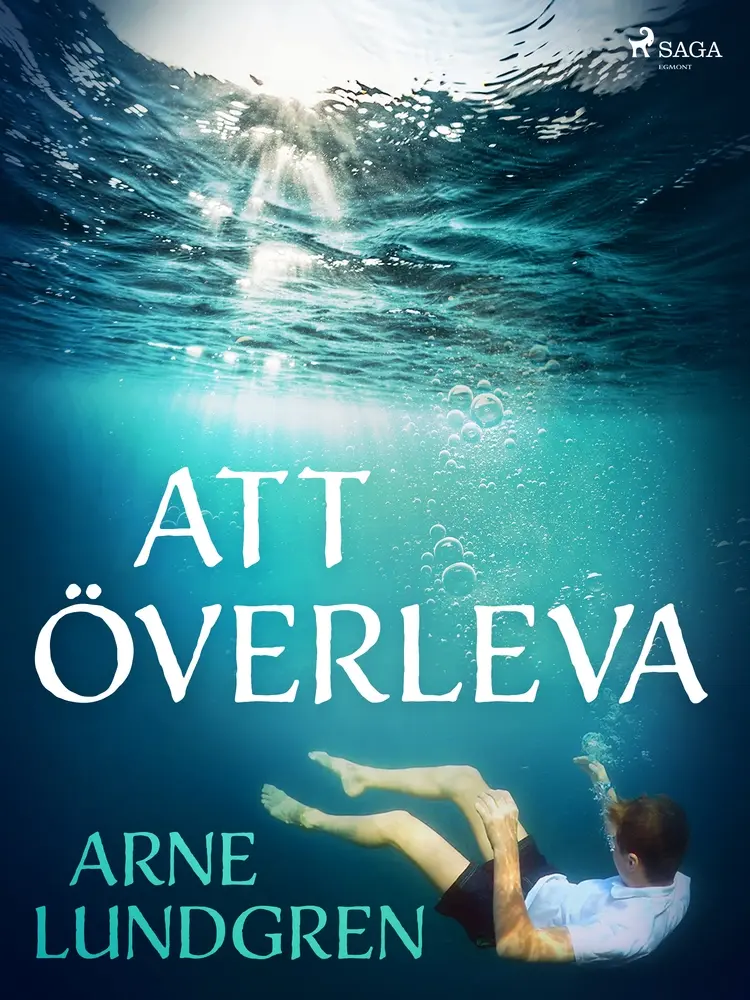 Att överleva af Arne Lundgren