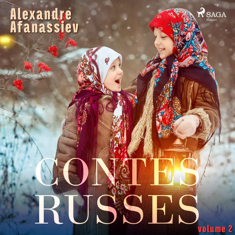 Contes russes (volume 2) af Alexandre Afanassiev