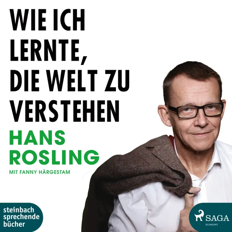 Wie ich lernte, die Welt zu verstehen af Hans Rosling
