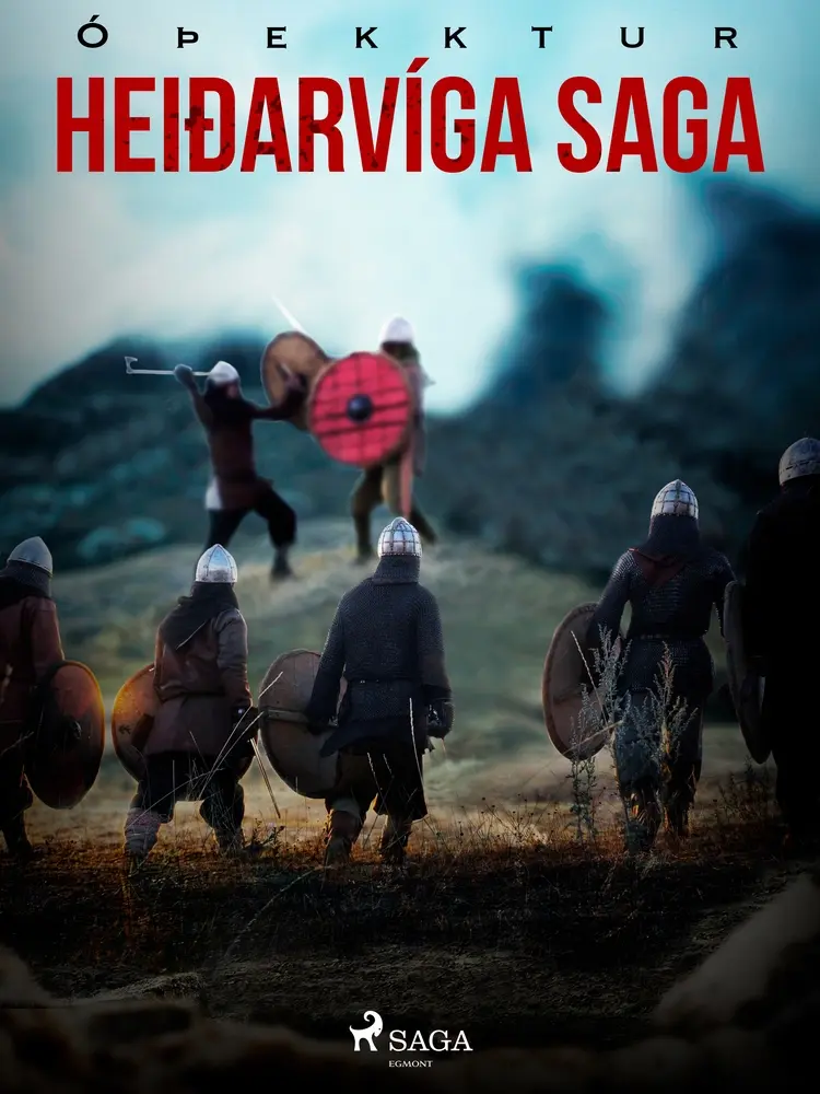 Heiðarvíga saga af Óþekktur