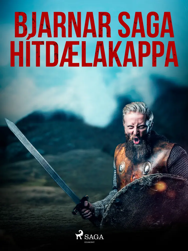 Bjarnar saga Hítdælakappa af Óþekktur