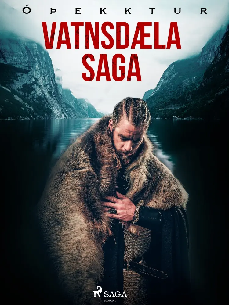 Vatnsdæla saga af Óþekktur