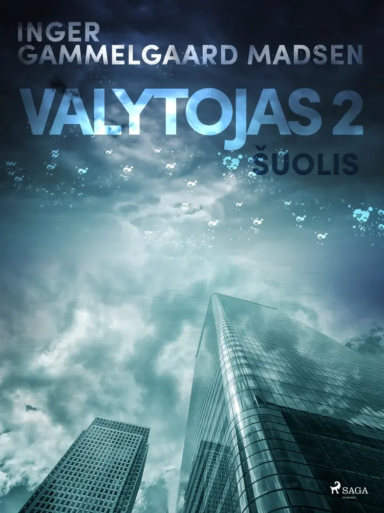 Valytojas 2: Šuolis af Inger Gammelgaard Madsen