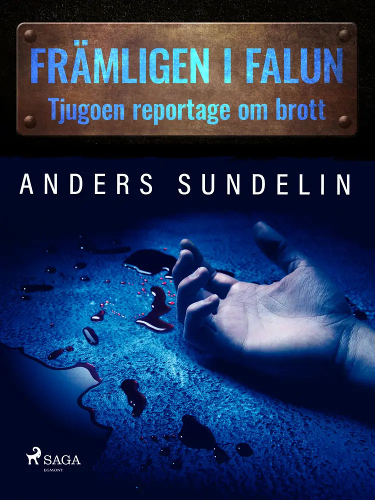 Främlingen i Falun: tjugoen reportage om brott af Anders Sundelin