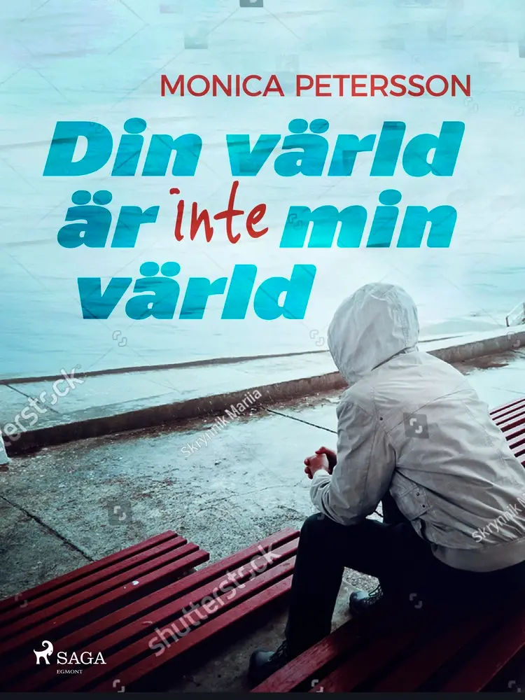Din värld är inte min värld af Monica Petersson