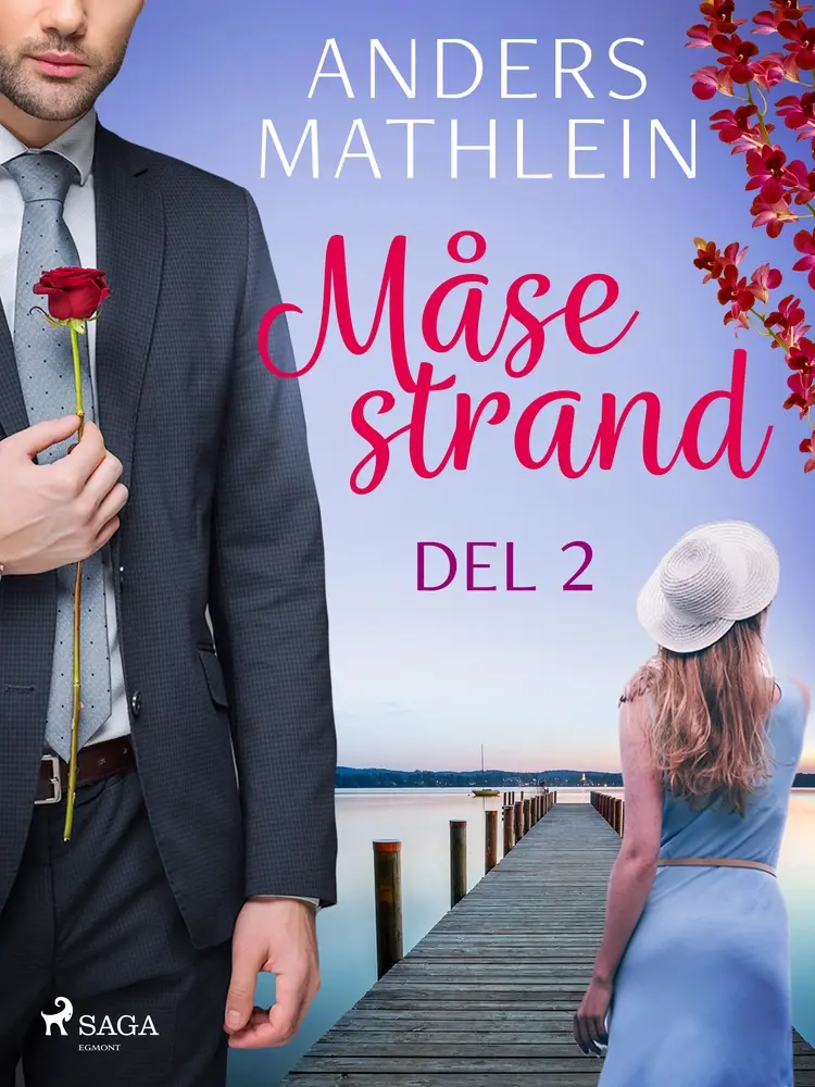 Måsestrand del 2 af Anders Mathlein