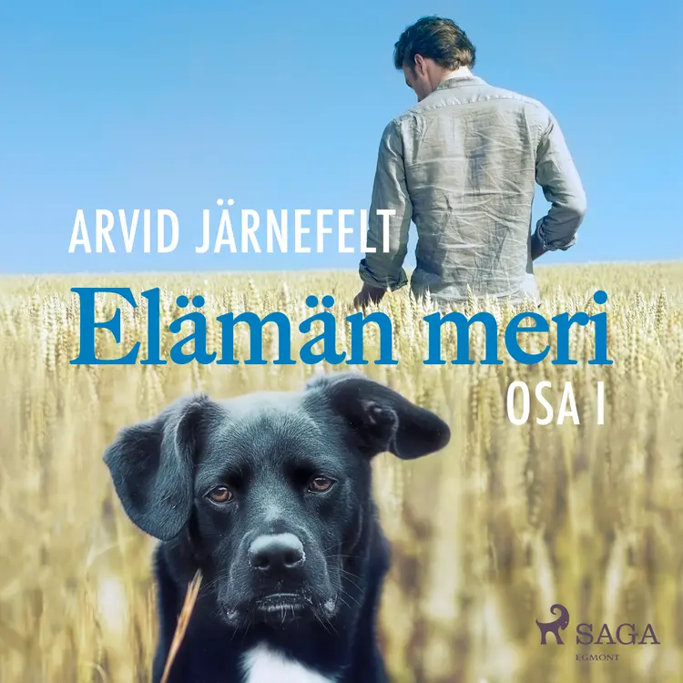 Elämän meri, osa 1 af Arvid Järnefelt