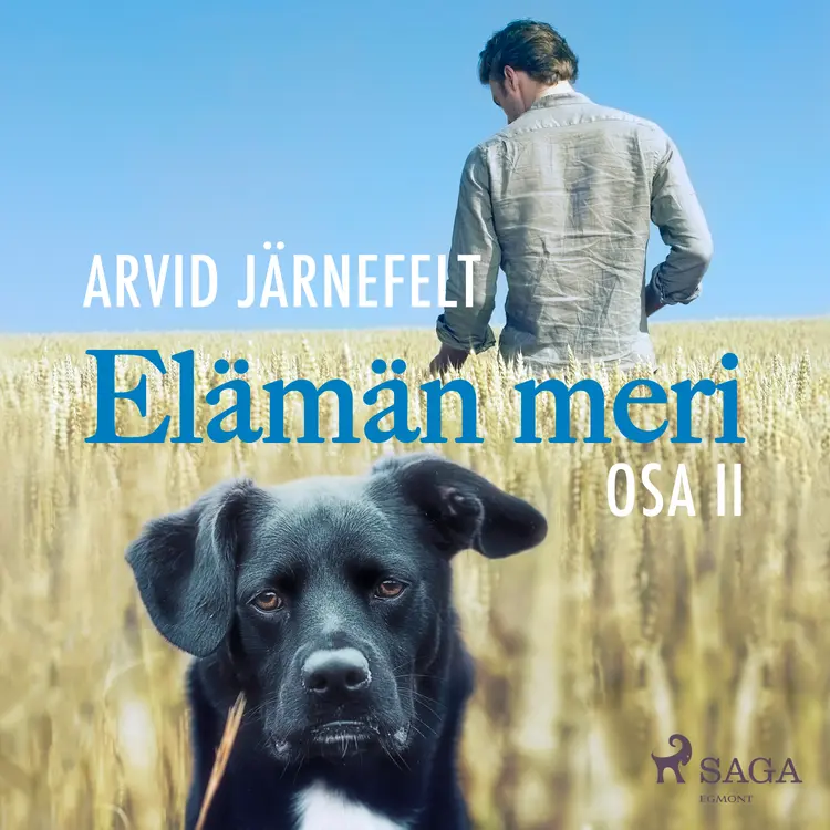 Elämän meri, osa 2 af Arvid Järnefelt