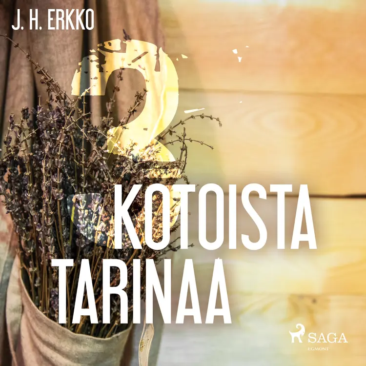 3 Kotoista tarinaa af J. H. Erkko