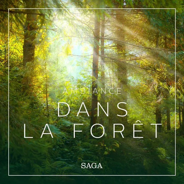 Ambiance - Dans la forêt af Rasmus Broe