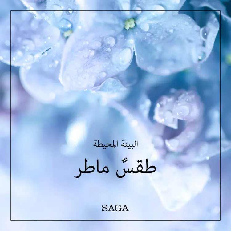 البيئة المحيطة - طقسٌ ماطر af رازموس بروه