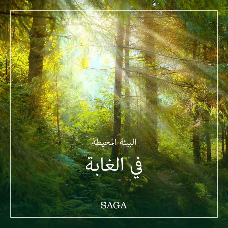 البيئة المحيطة - في الغابة af رازموس بروه