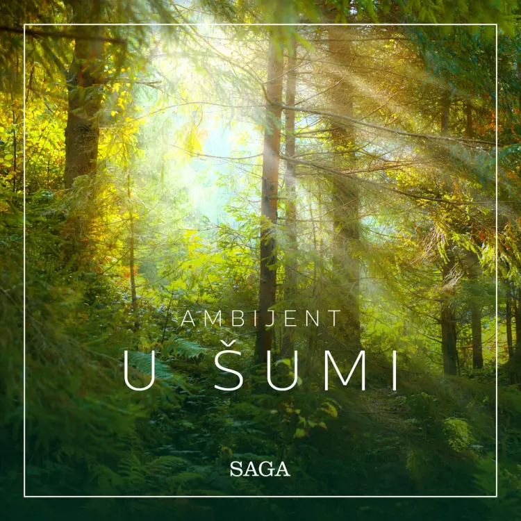 Ambijent - U šumi af Rasmus Broe