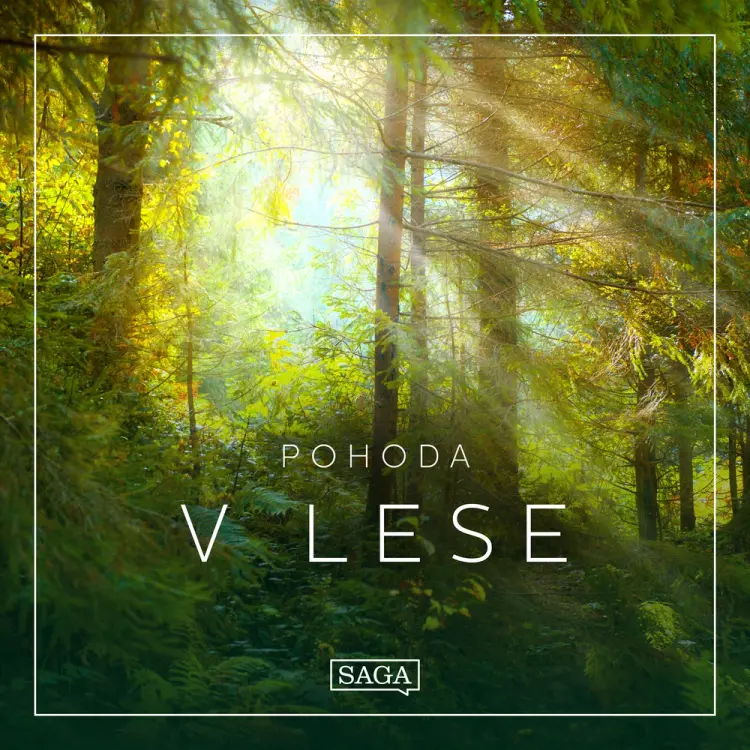 Pohoda - V lese af Rasmus Broe