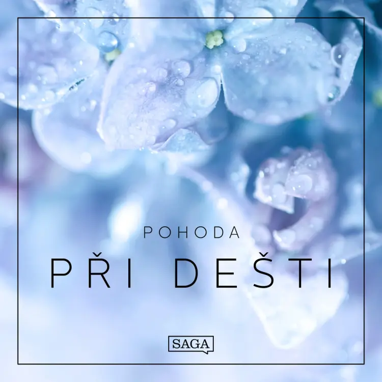 Pohoda - Při dešti af Rasmus Broe