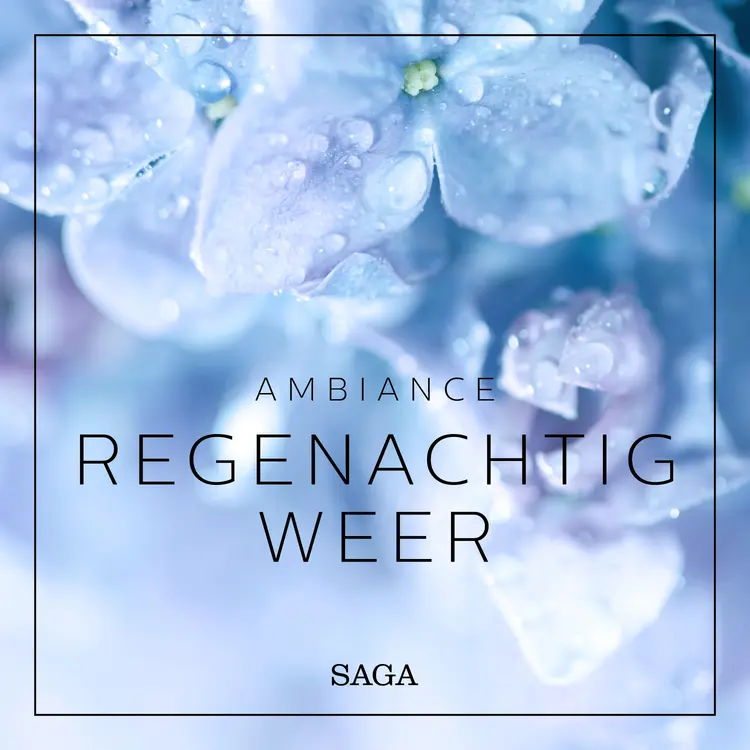 Ambiance - Regenachtig weer af Rasmus Broe