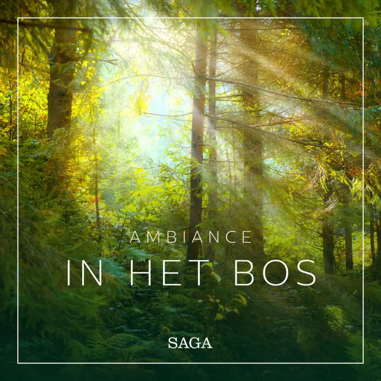 Ambiance - In het Bos af Rasmus Broe