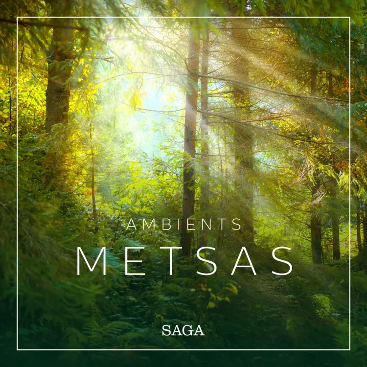 Ambients - Metsas af Rasmus Broe