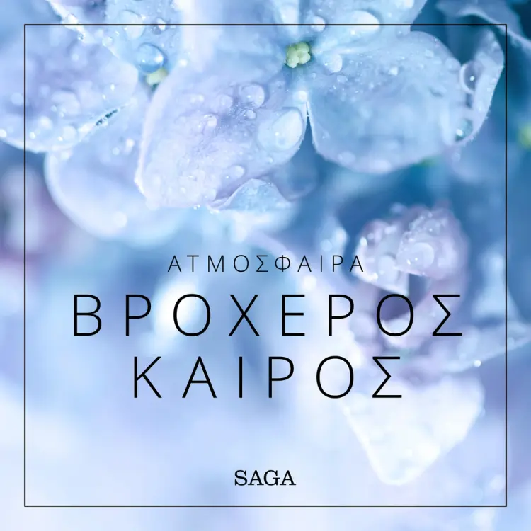 Ατμόσφαιρα - Βροχερός καιρός af Ράζμους Μπρόι