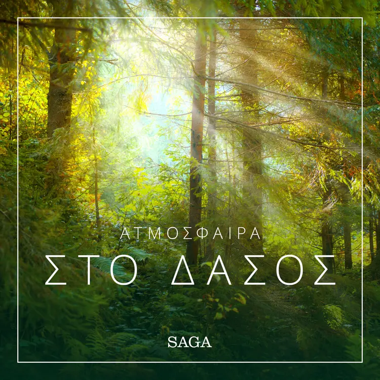 Ατμόσφαιρα - Στο δάσος af Ράζμους Μπρόι