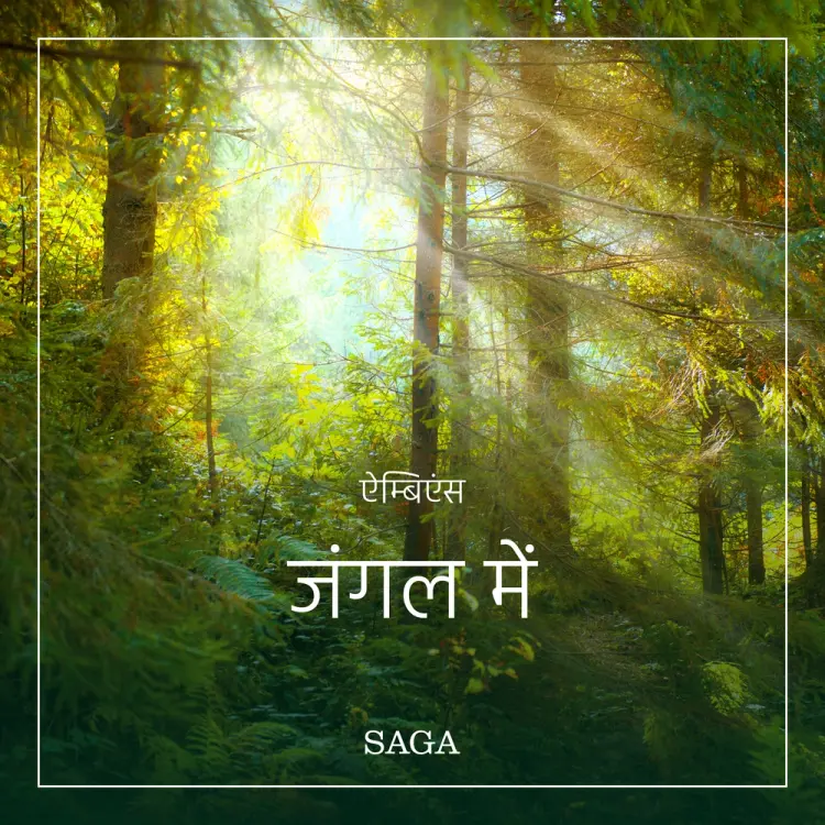 ऐम्बिएंस - जंगल में af रैसमस बरो