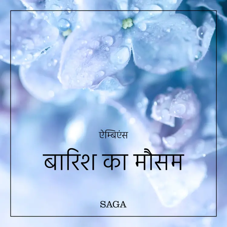 ऐम्बिएंस - बारिश का मौसम af रैसमस बरो