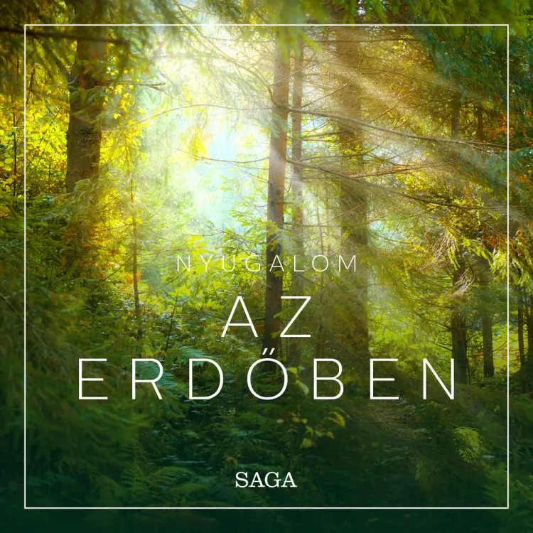 Nyugalom - Az erdőben af Rasmus Broe