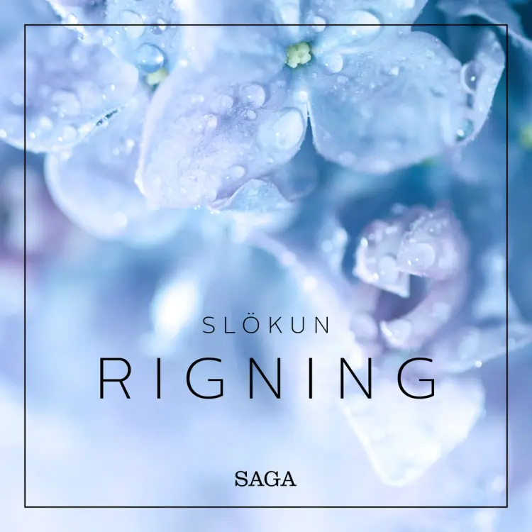 Slökun - Rigning af Rasmus Broe