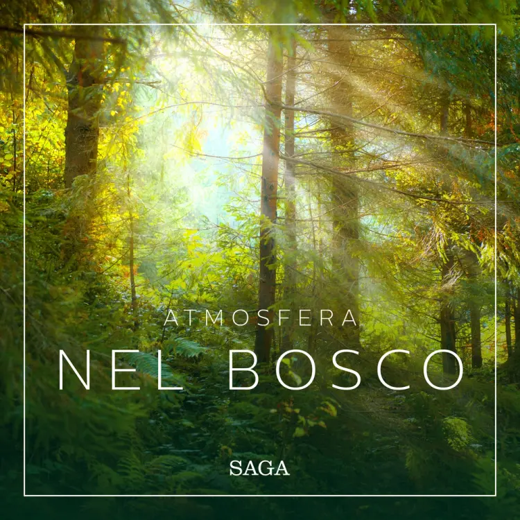Atmosfera - Nel bosco af Rasmus Broe