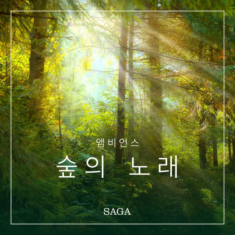 앰비언스 - 숲의 노래 af 라즈무스 브루