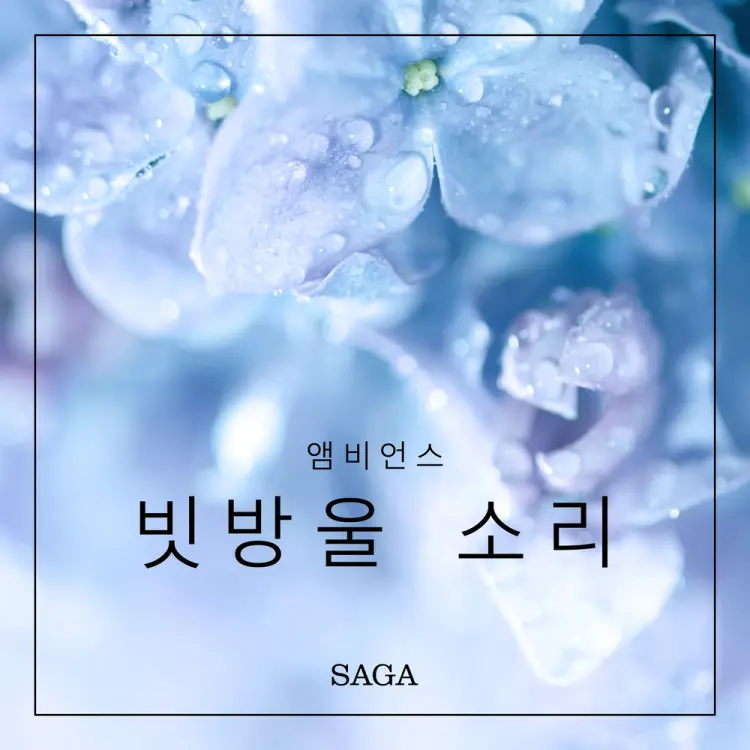 앰비언스 - 빗방울 소리 af 라즈무스 브루