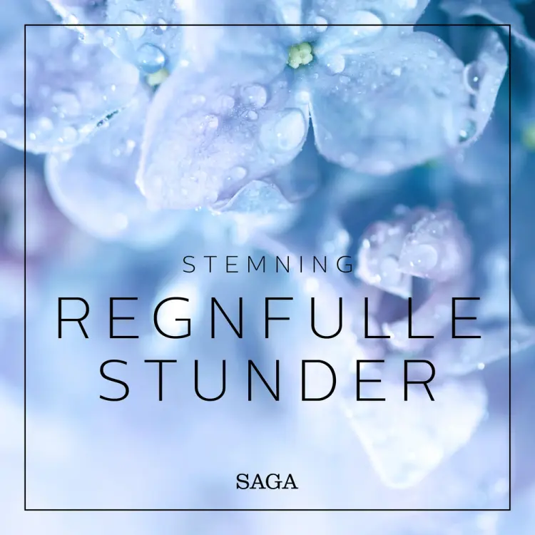 Stemning - Regnfulle stunder af Rasmus Broe