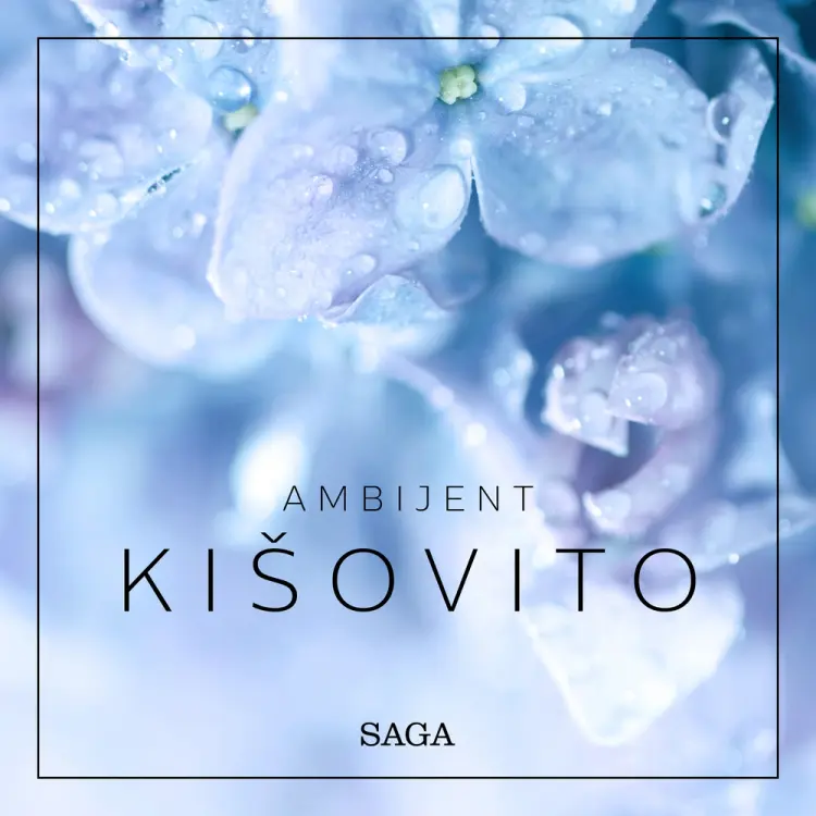 Ambijent - Kišovito af Rasmus Broe
