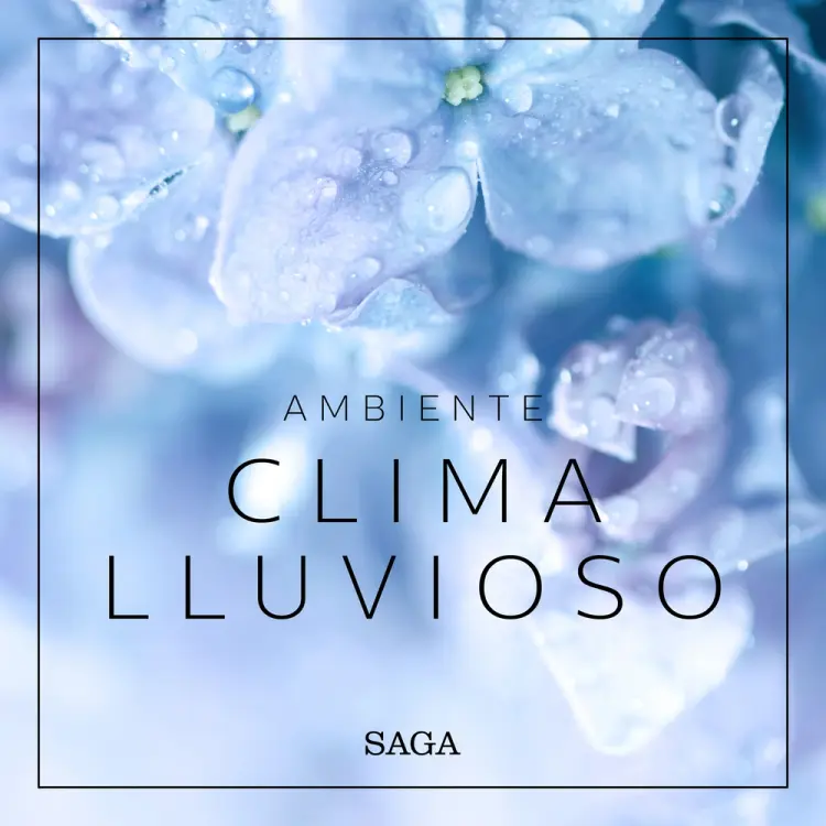 Ambiente - Clima lluvioso af Rasmus Broe