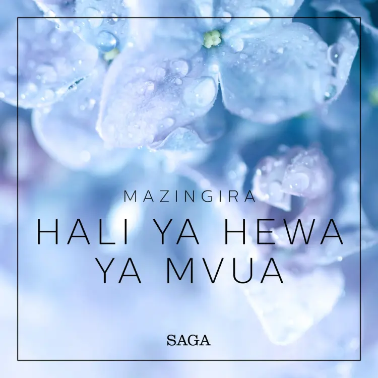 Mazingira - Hali ya hewa ya Mvua af Rasmus Broe