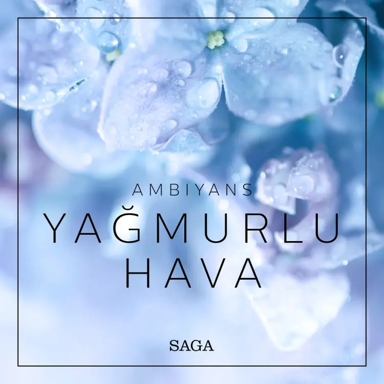 Ambiyans - Yağmurlu Hava af Rasmus Broe
