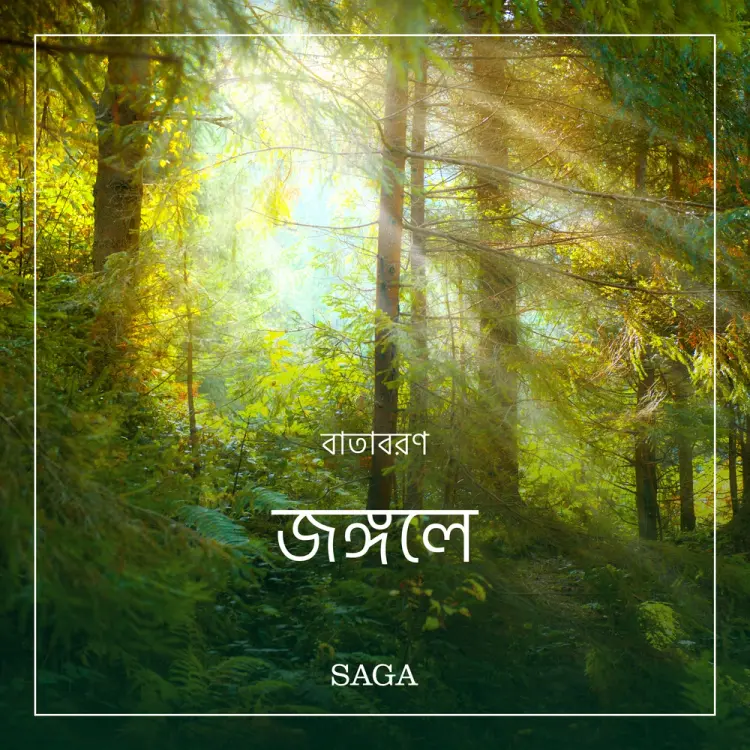 বাতাবরণ-জঙ্গলে af রাসমুস ব্রোয়্যে
