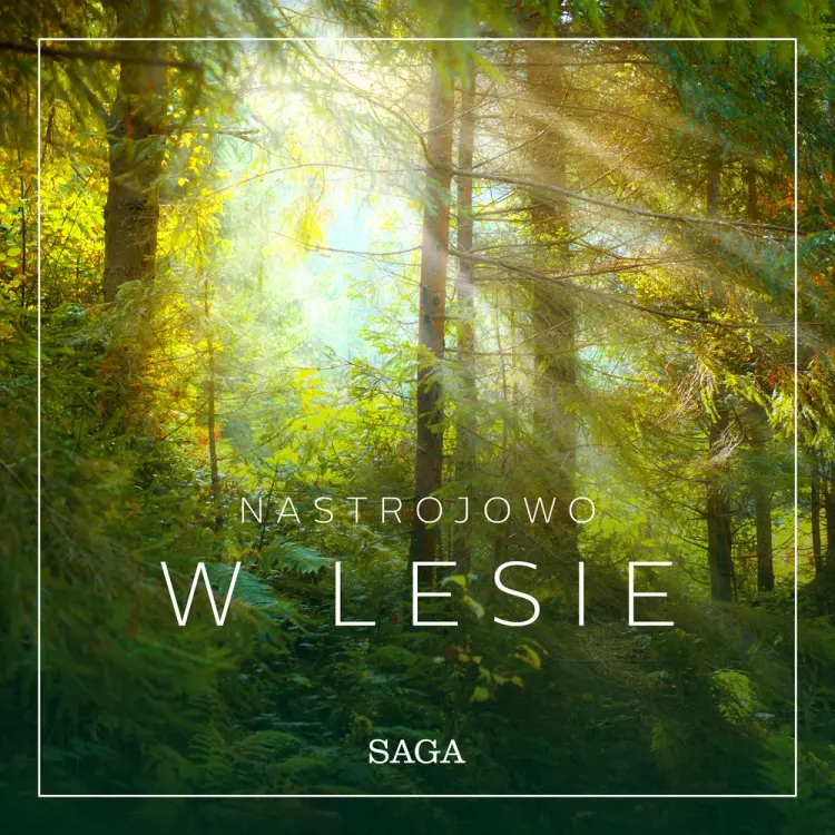 Nastrojowo - W lesie af Rasmus Broe