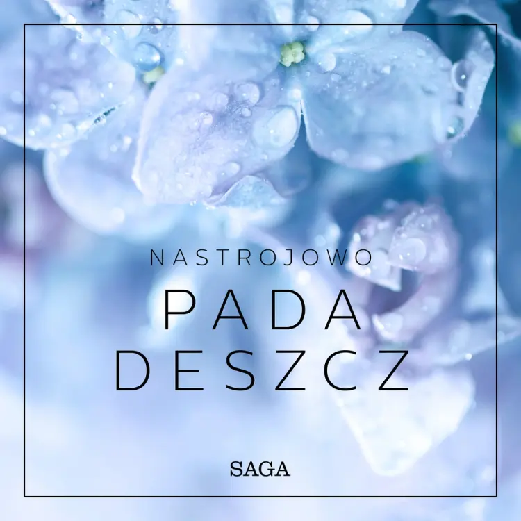 Nastrojowo - Pada deszcz af Rasmus Broe