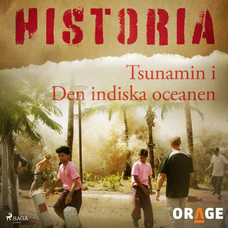 Tsunamin i Den indiska oceanen af – Orage