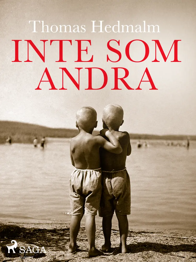 Inte som andra af Thomas Hedmalm