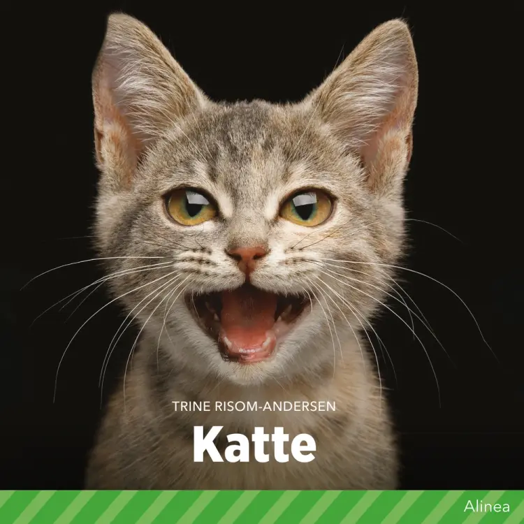 Katte af Trine Risom Andersen