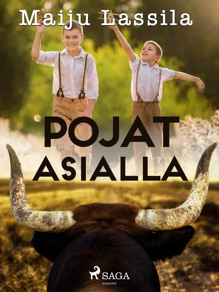 Pojat asialla af Maiju Lassila