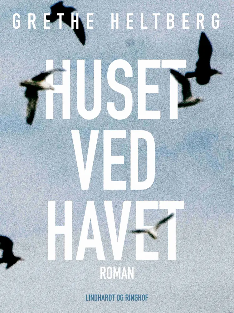 Huset ved havet af Grethe Heltberg