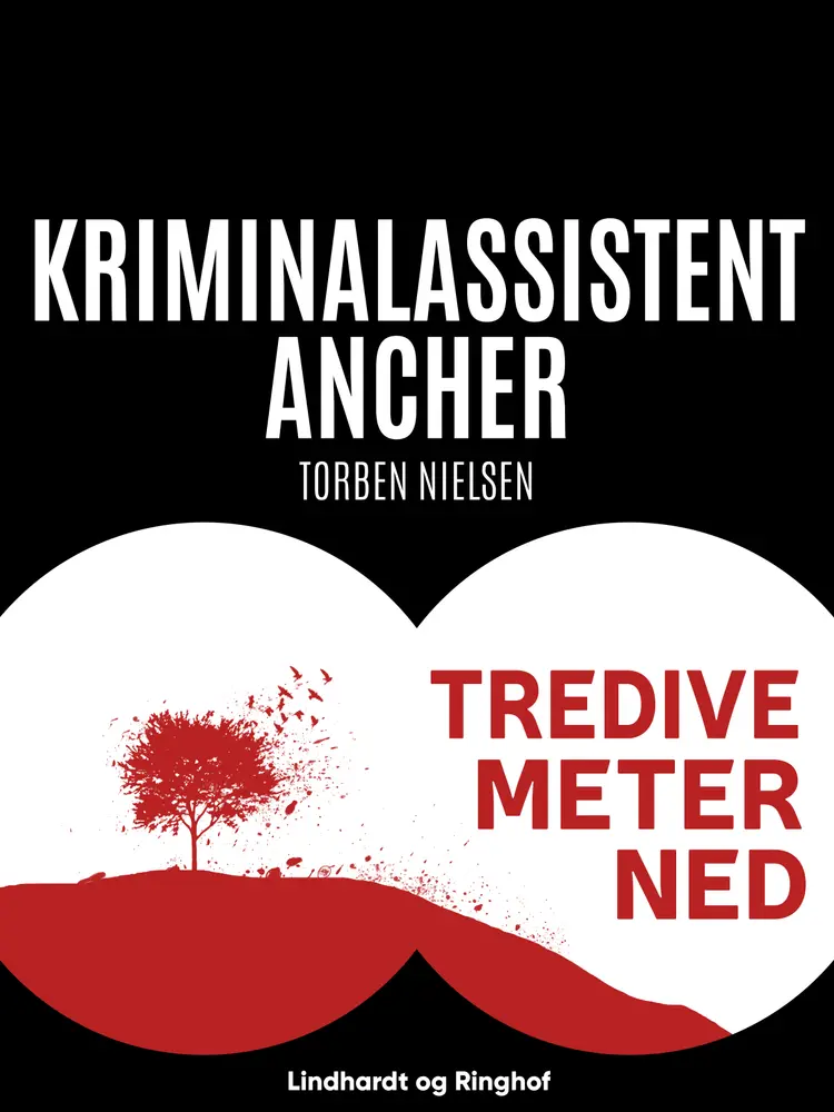 Tredive meter ned af Torben Nielsen