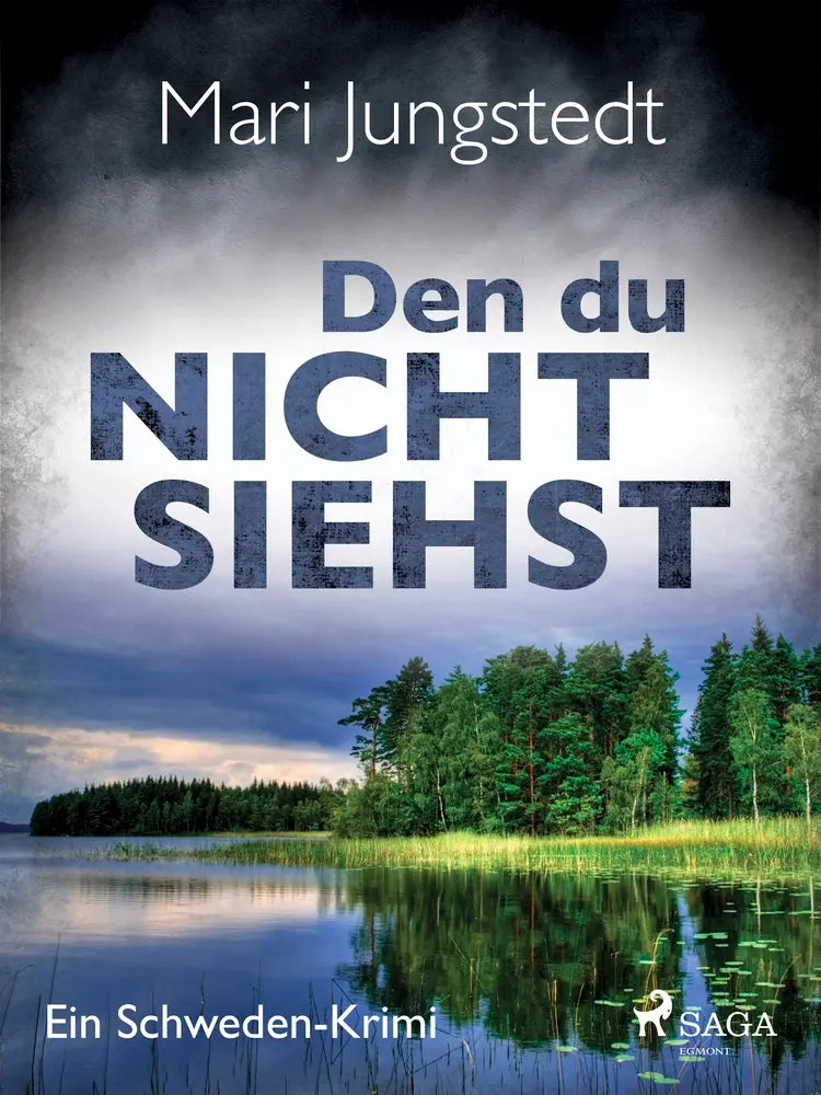 Den du nicht siehst af Mari Jungstedt
