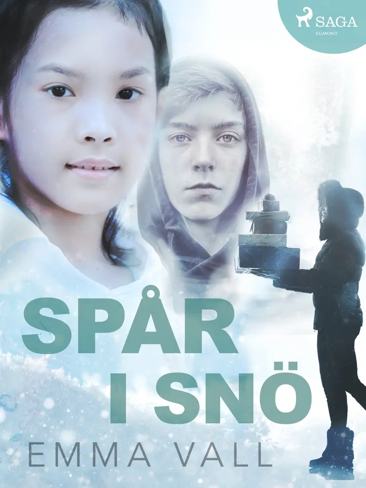 Spår i snö af Emma Vall