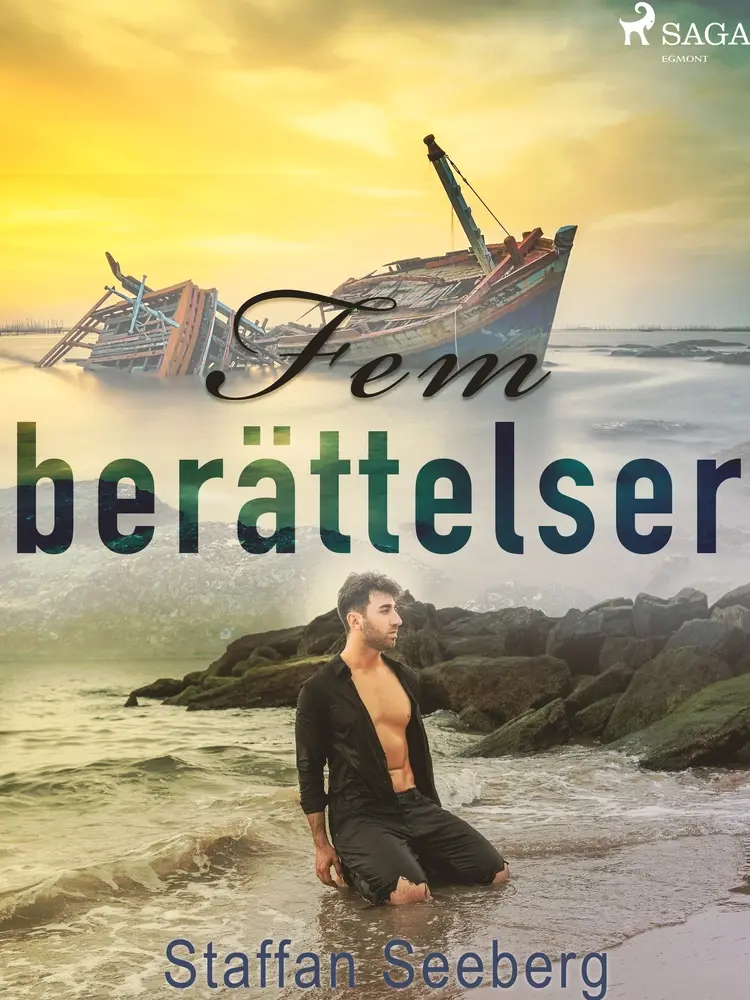 Fem berättelser af Staffan Seeberg